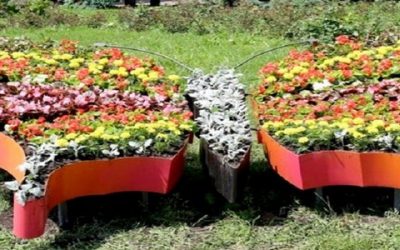 Дизайн клумбы: красота на дачном участке