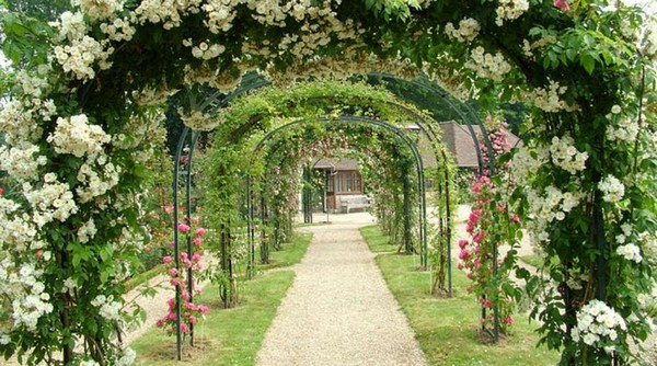 садовая арка фото
