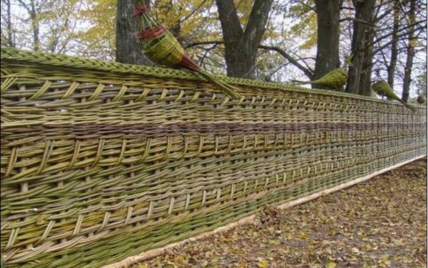 плетеный забор из лозы фото
