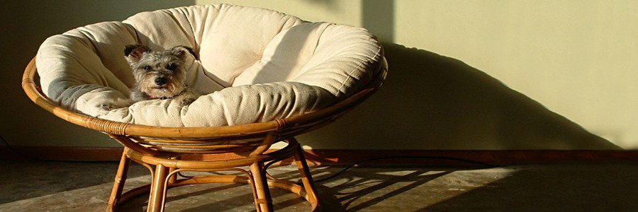 Кресло папасан: идеальный вариант плетеной мебели для дачи