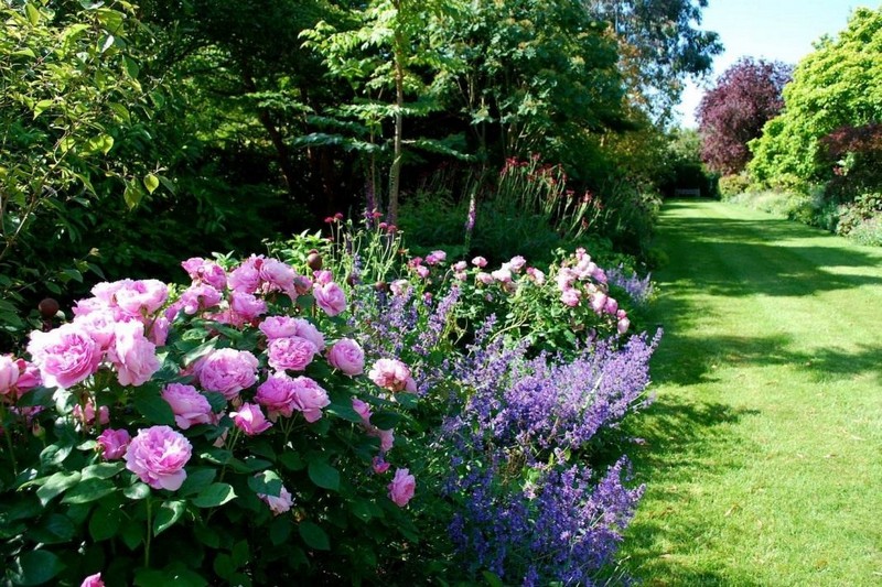 английский сад фото